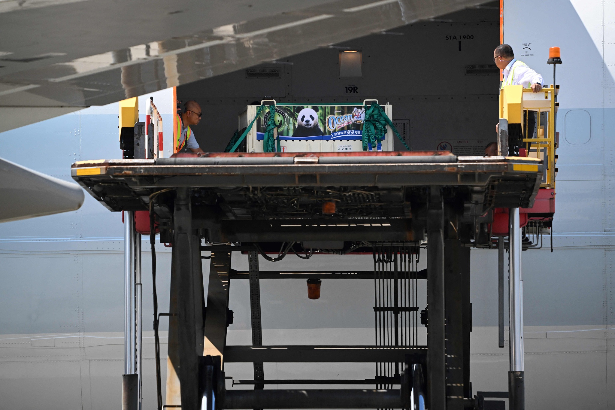 One of the two pandas arrive at Hong Kong International Airport, September 26, 2024. /CFP