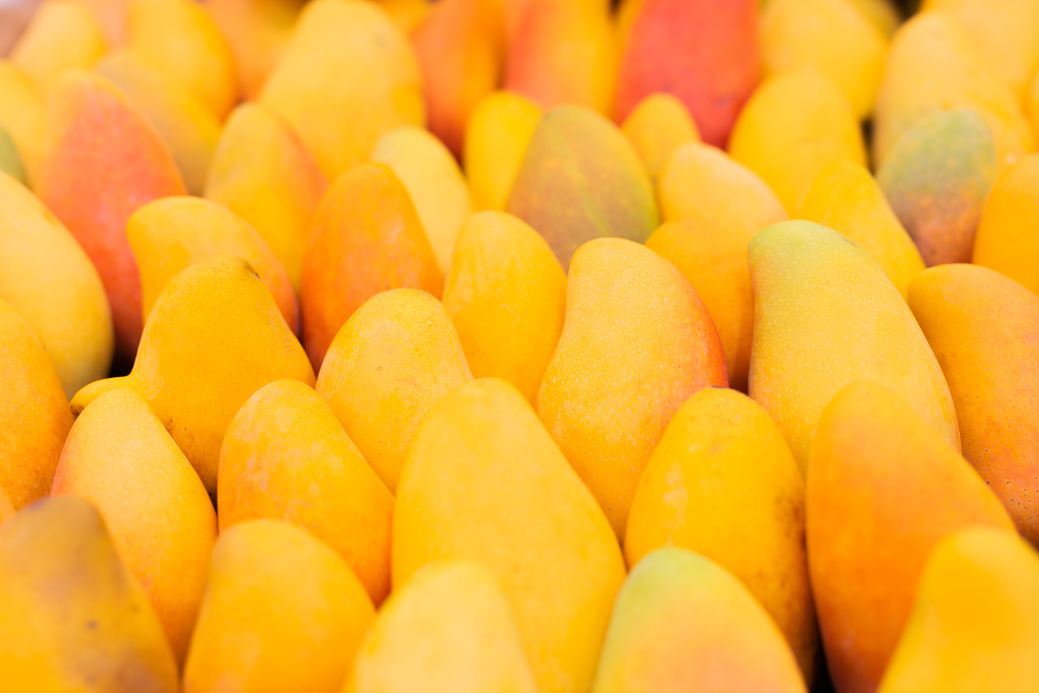 Mangoes. /CFP