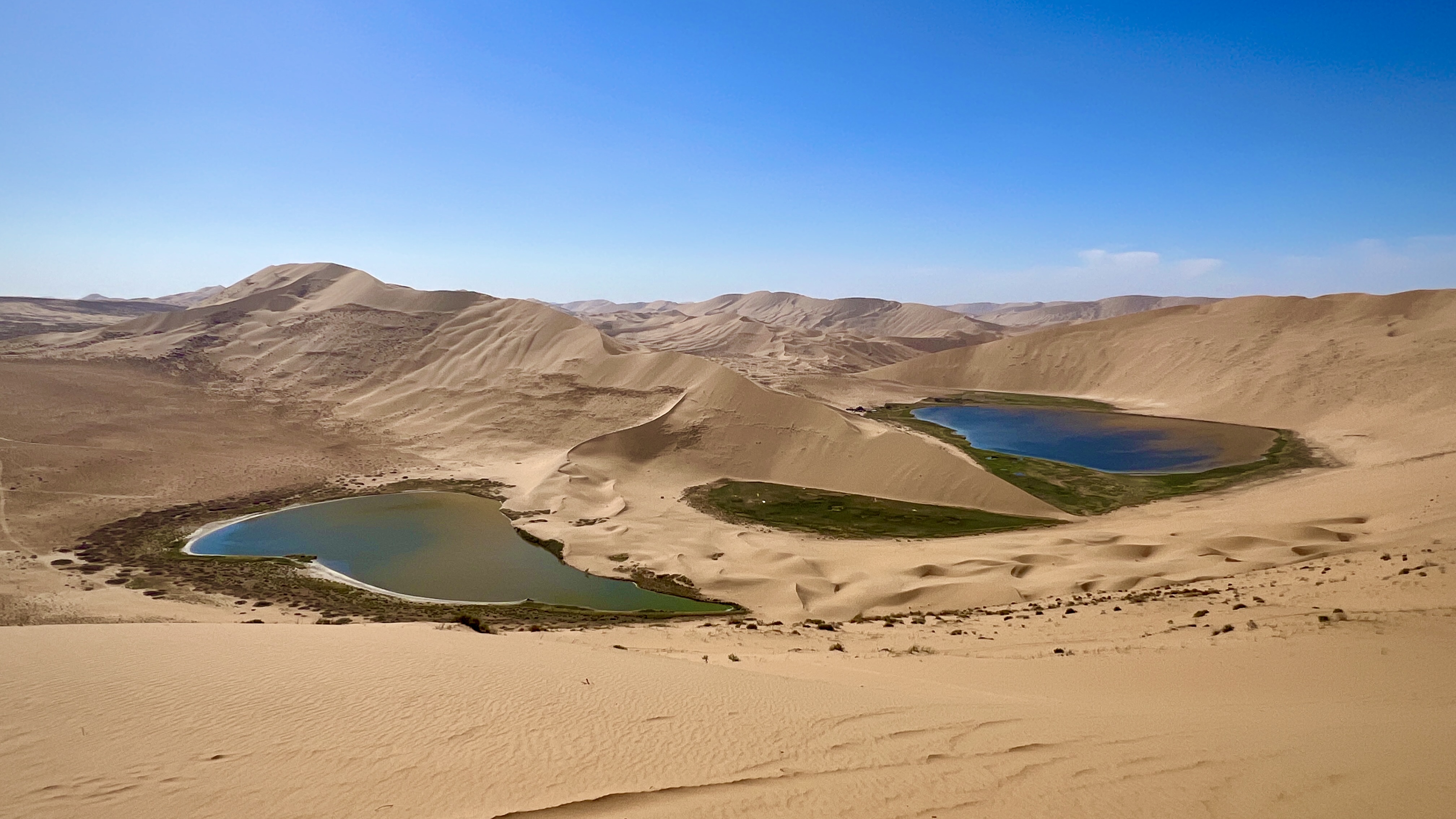 Barunyikeri Lake displays green and blue colors in Badain Jaran Desert in Inner Mongolia on September 21, 2024. /CGTN