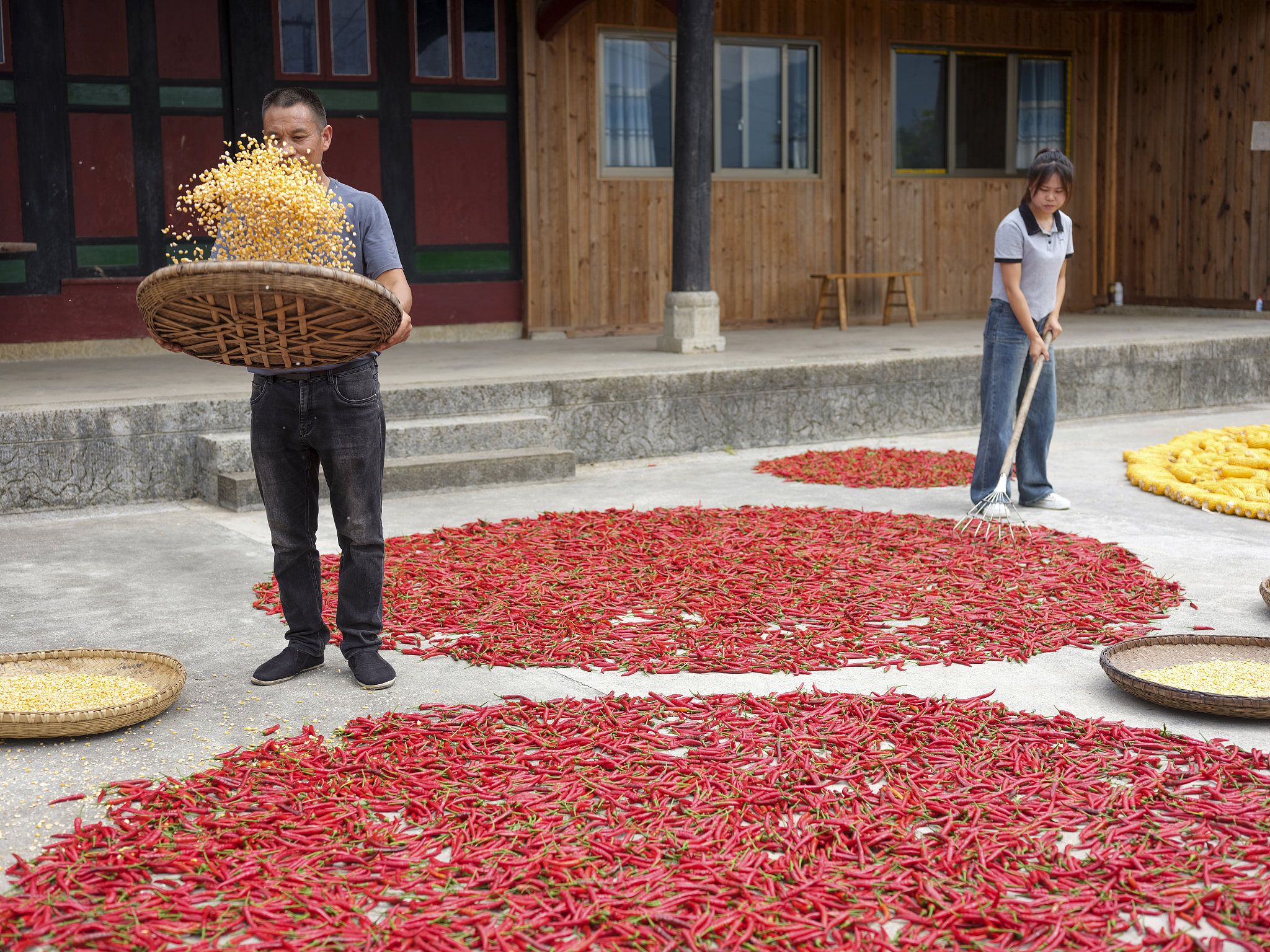 Farmers dry chili pepper and corn in Zunyi, Guizhou Province on August 23, 2023. /CFP