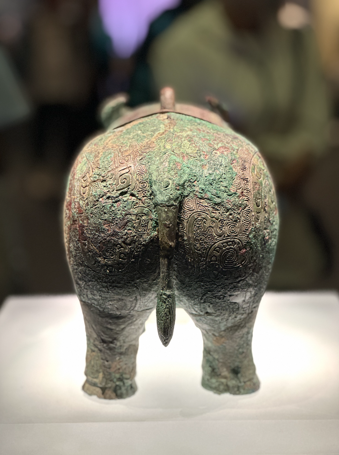 A bronze buffalo vessel is seen from behind at the newly opened Yinxu Museum in Anyang, Henan Province on September 23, 2024. /CGTN