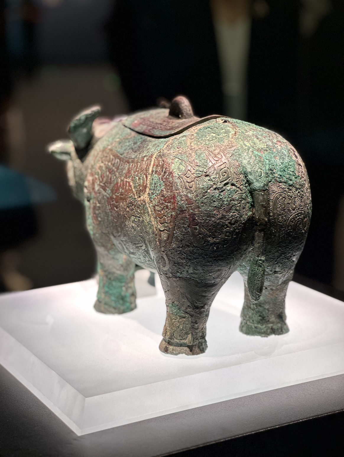 A bronze buffalo vessel is seen from behind at the newly opened Yinxu Museum in Anyang, Henan Province on September 23, 2024. /CGTN