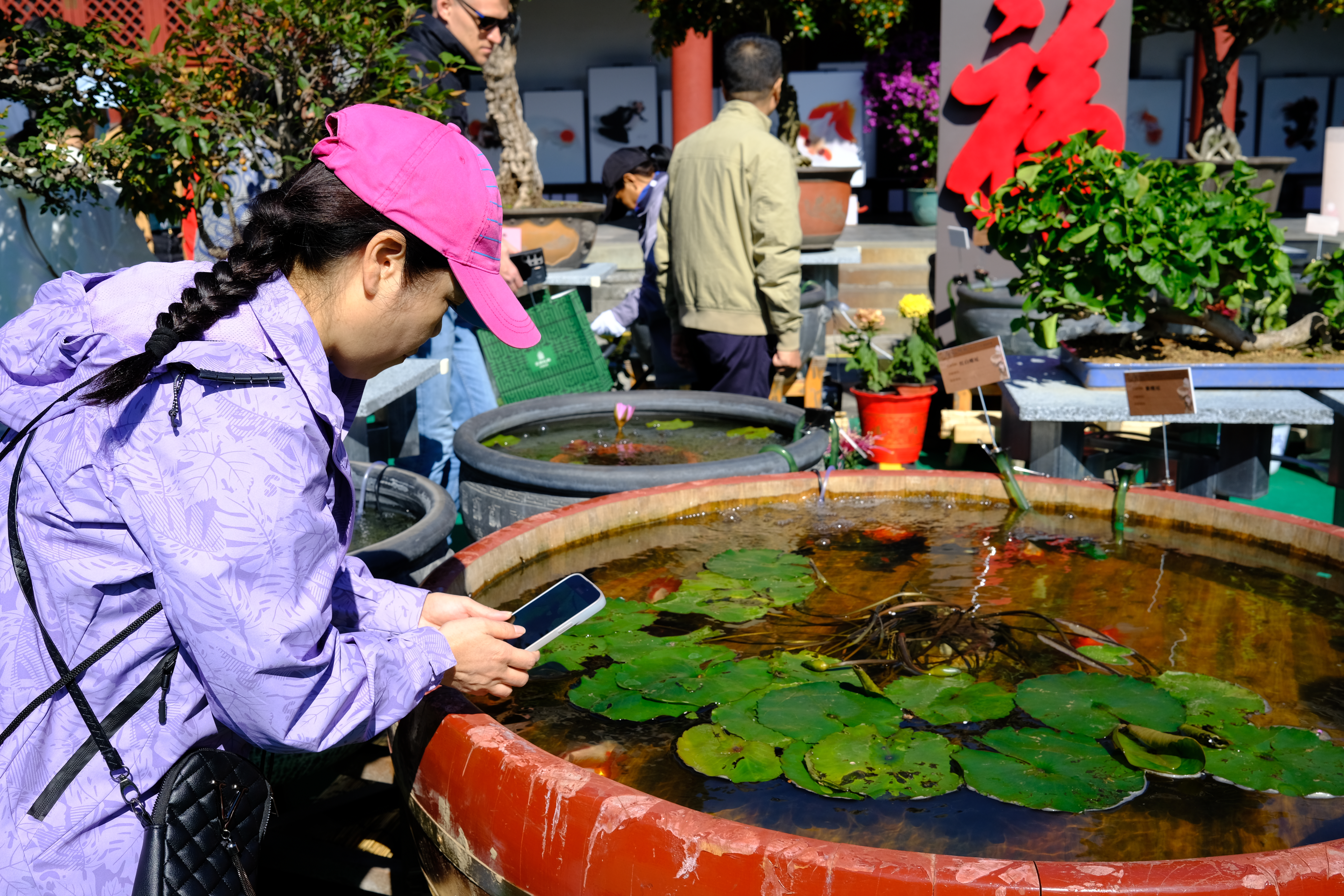 A visitor captures moments of goldfish at Prince Kung's Palace, Beijing, China, October 1, 2024. /CGTN