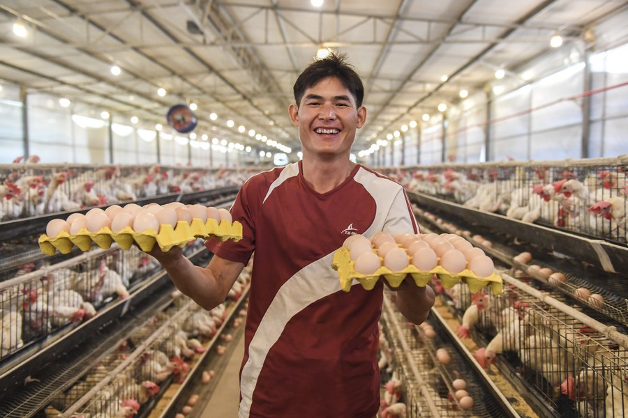 Farmer Qin Yongling displays eggs at a chicken farm in Renyuan Village of Jinji Township in Wuxuan County, south China's Guangxi Zhuang Autonomous Region, June 18, 2020. /Xinhua
