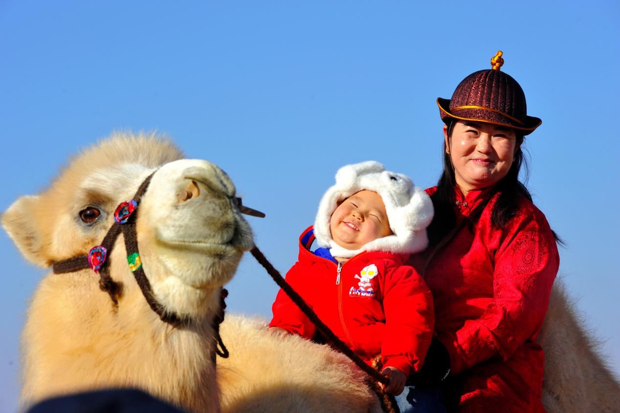 This undated photo shows the friendly interaction between people and camels in the Badain Jaran Desert in Alxa League, Inner Mongolia Autonomous Region. / Photo provided to CGTN