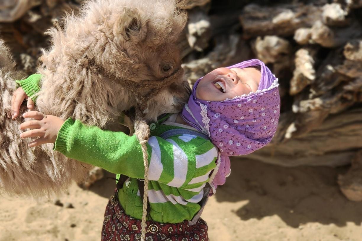 This undated photo shows the friendly interaction between people and camels in the Badain Jaran Desert in Alxa League, Inner Mongolia Autonomous Region. / Photo provided to CGTN