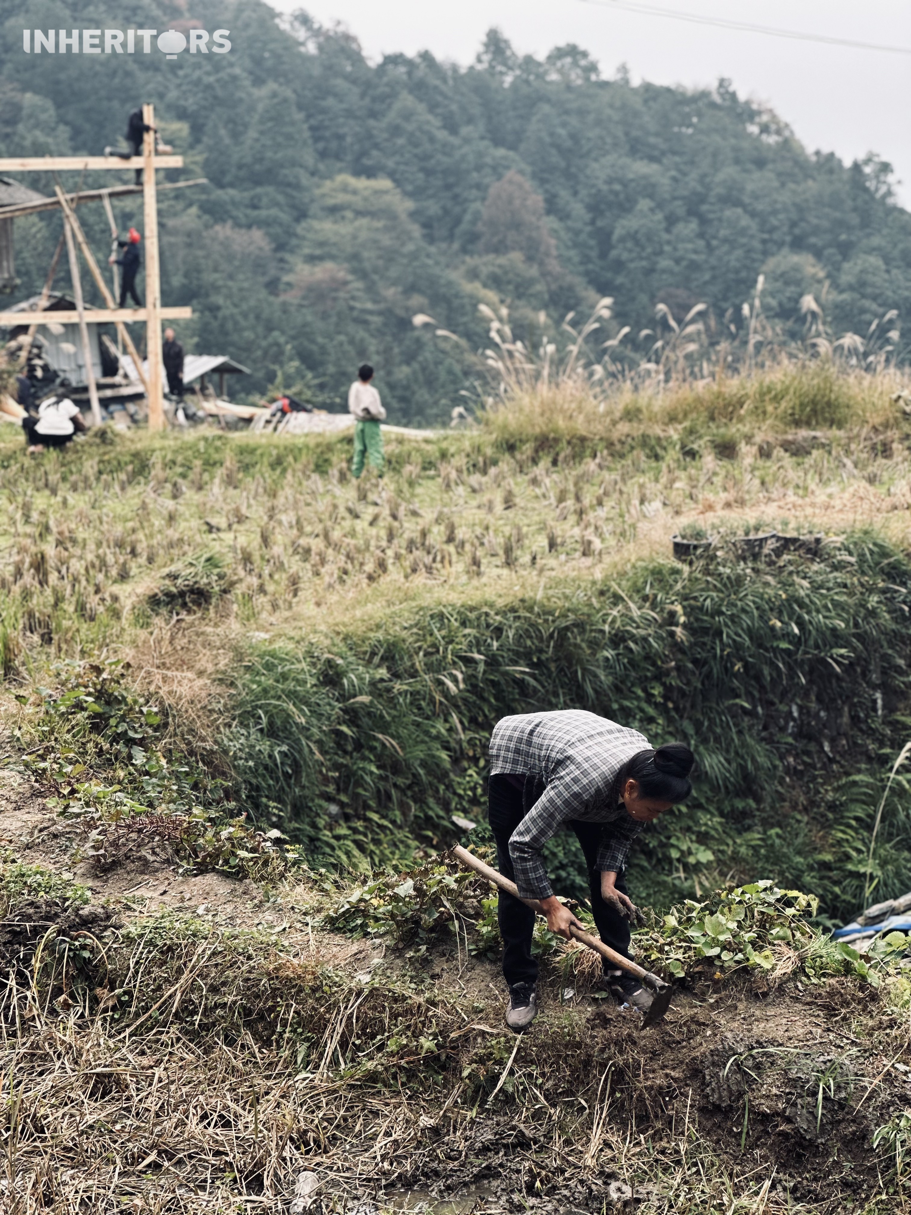 A view of a Dong village in southwest China's Guizhou Province. /CGTN