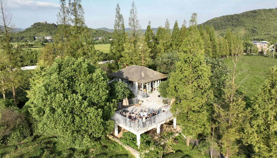 Aerial group photo taken in Anji County, Zhejiang Province, September 25, 2024. /CGTN