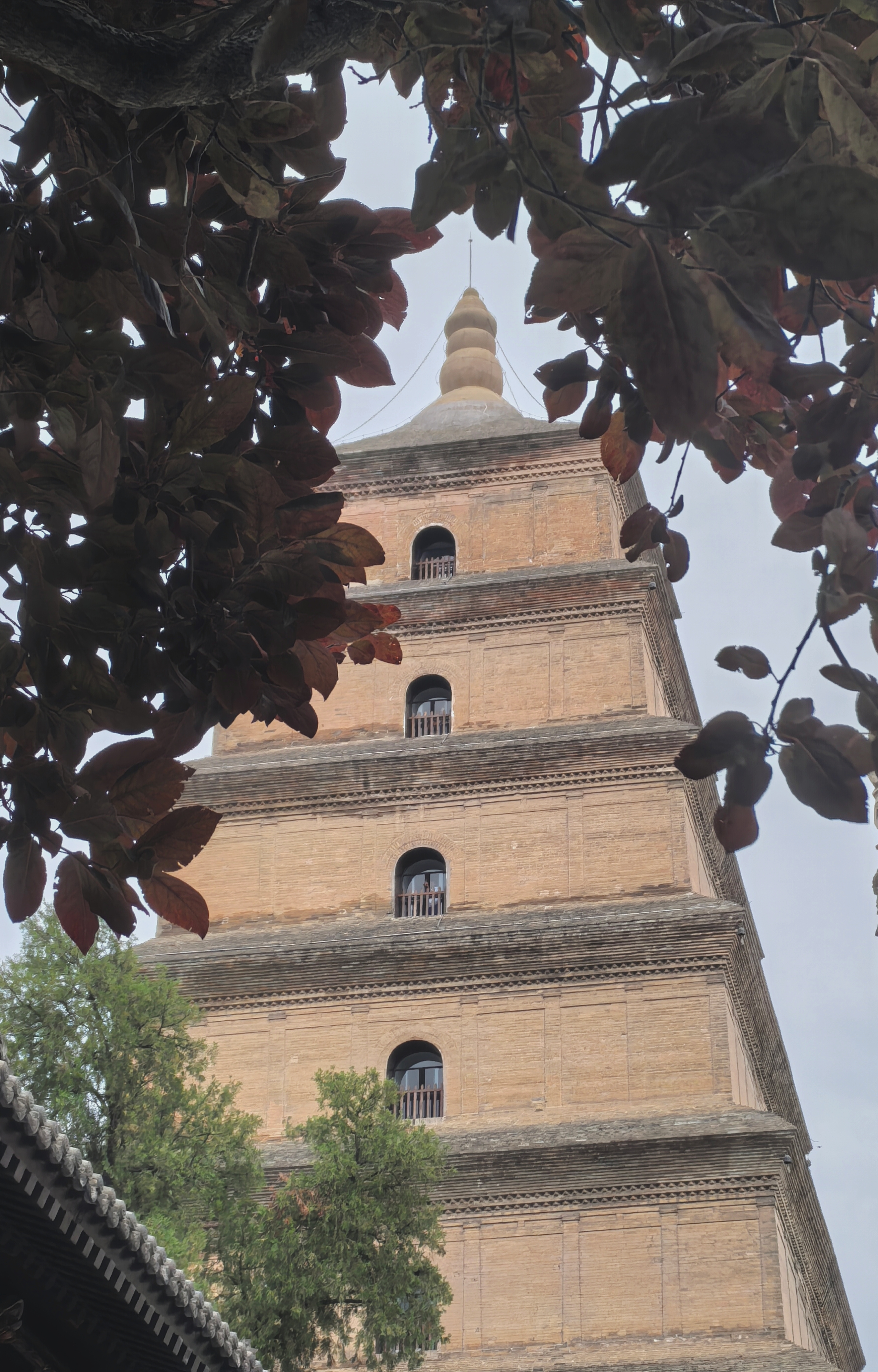 A view of the Great Wild Goose Pagoda in Xi'an, northwest China's Shaanxi Province, in this photo taken in September 2024 /CGTN