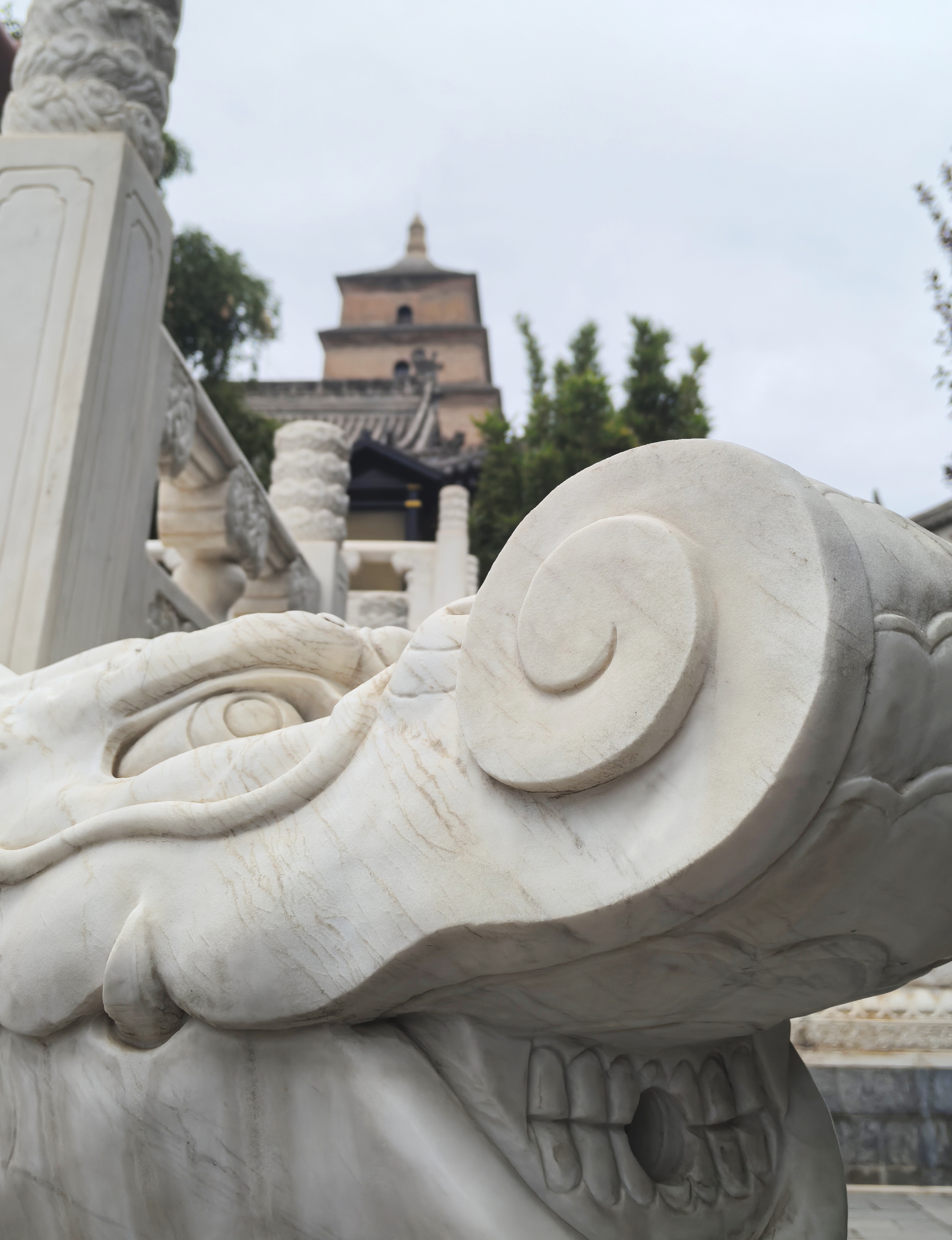 A view of the Great Wild Goose Pagoda in Xi'an, northwest China's Shaanxi Province, in this photo taken in September 2024 /CGTN