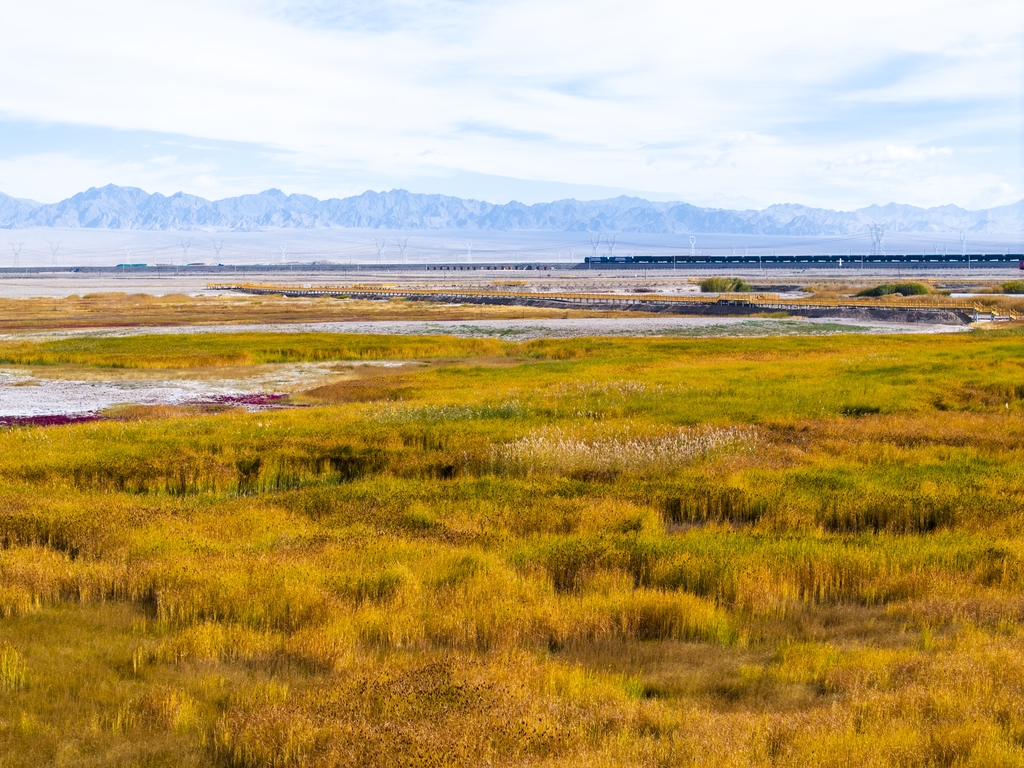 An undated photo captures the golden hues and blue sky of Haizi Grassland in Kazak Autonomous County of Aksay, Gansu Province. /IC