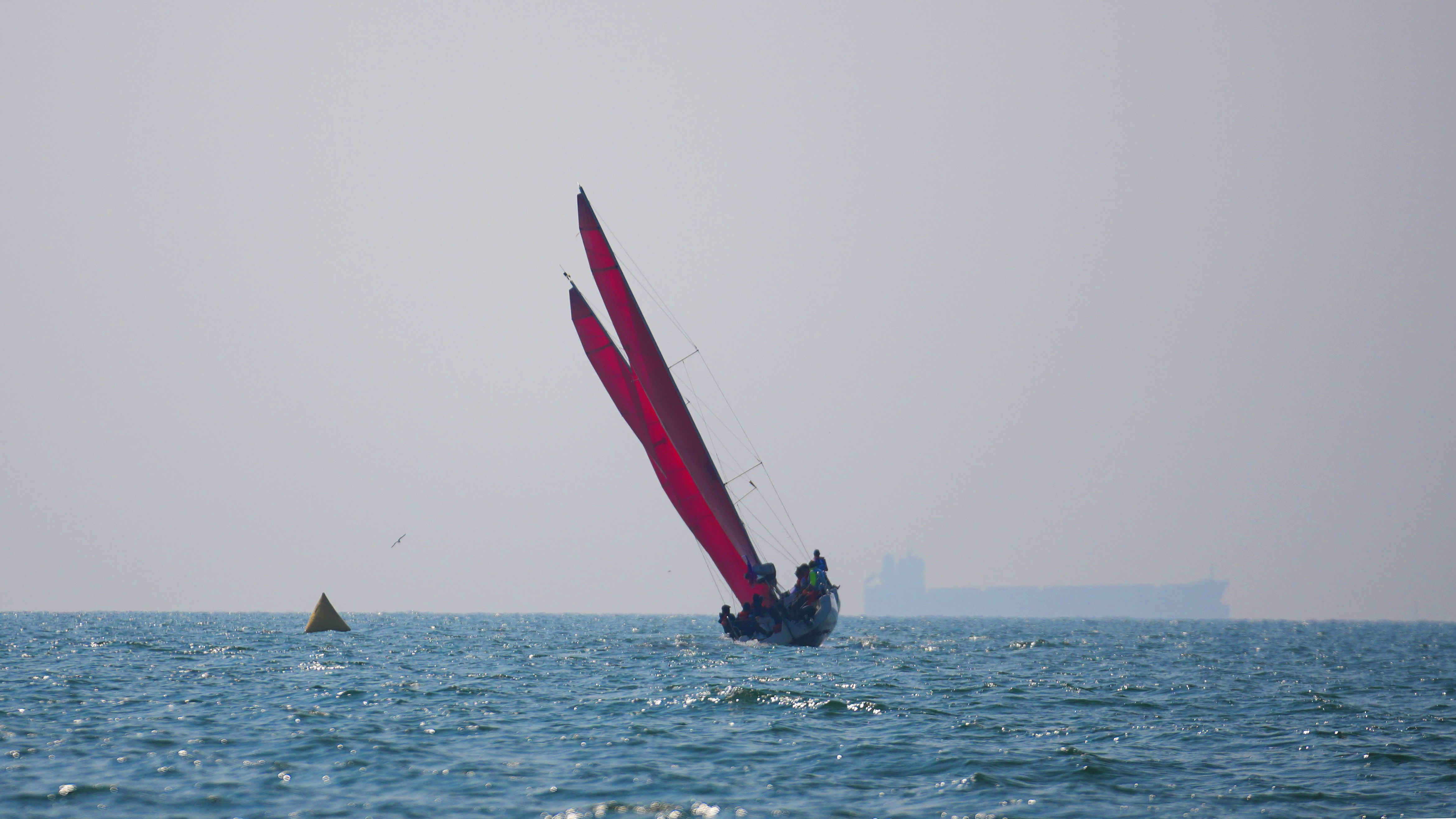 Chinese sailing enthusiasts join regatta during Golden Week