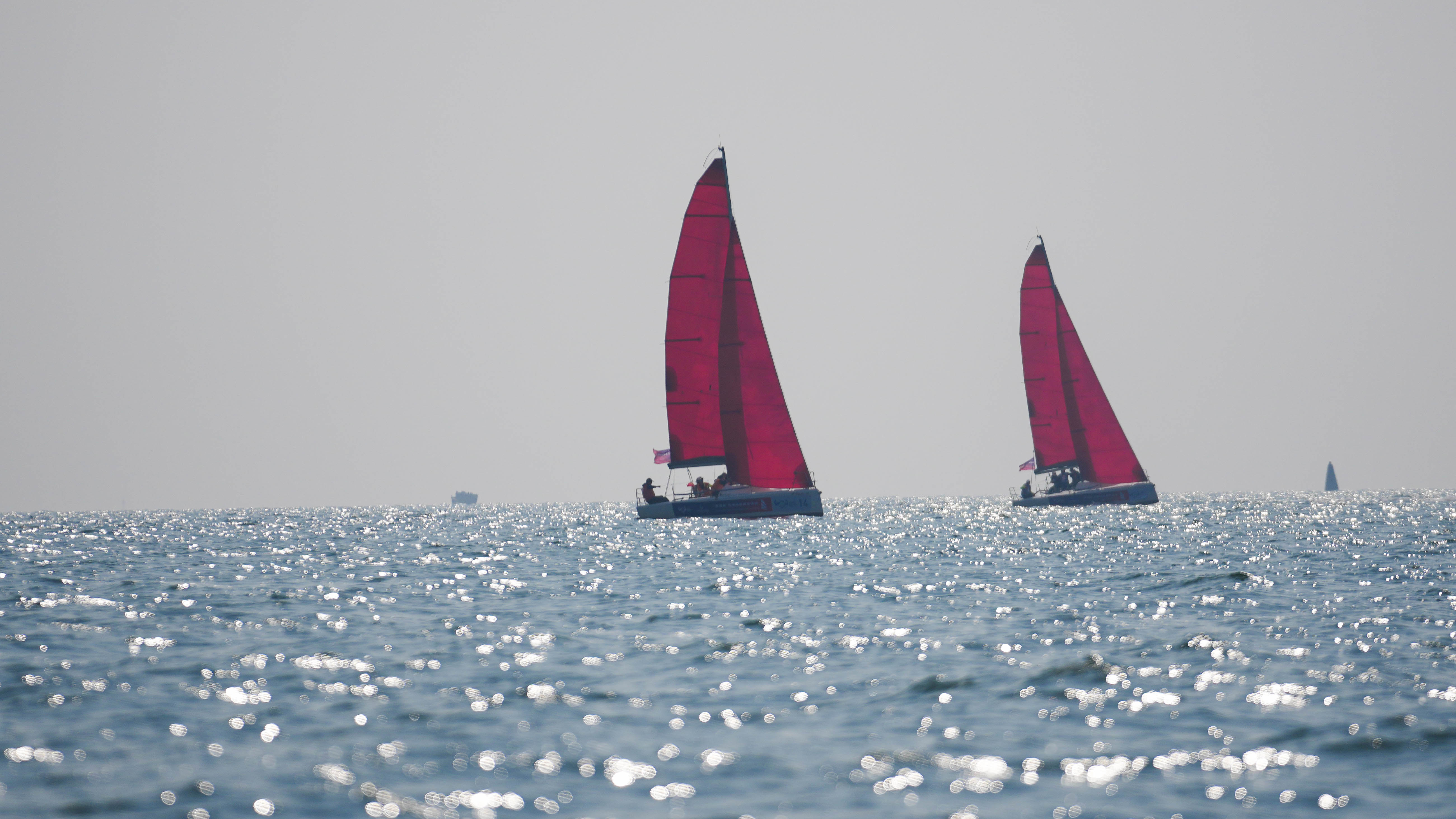 Chinese sailing enthusiasts join regatta during Golden Week