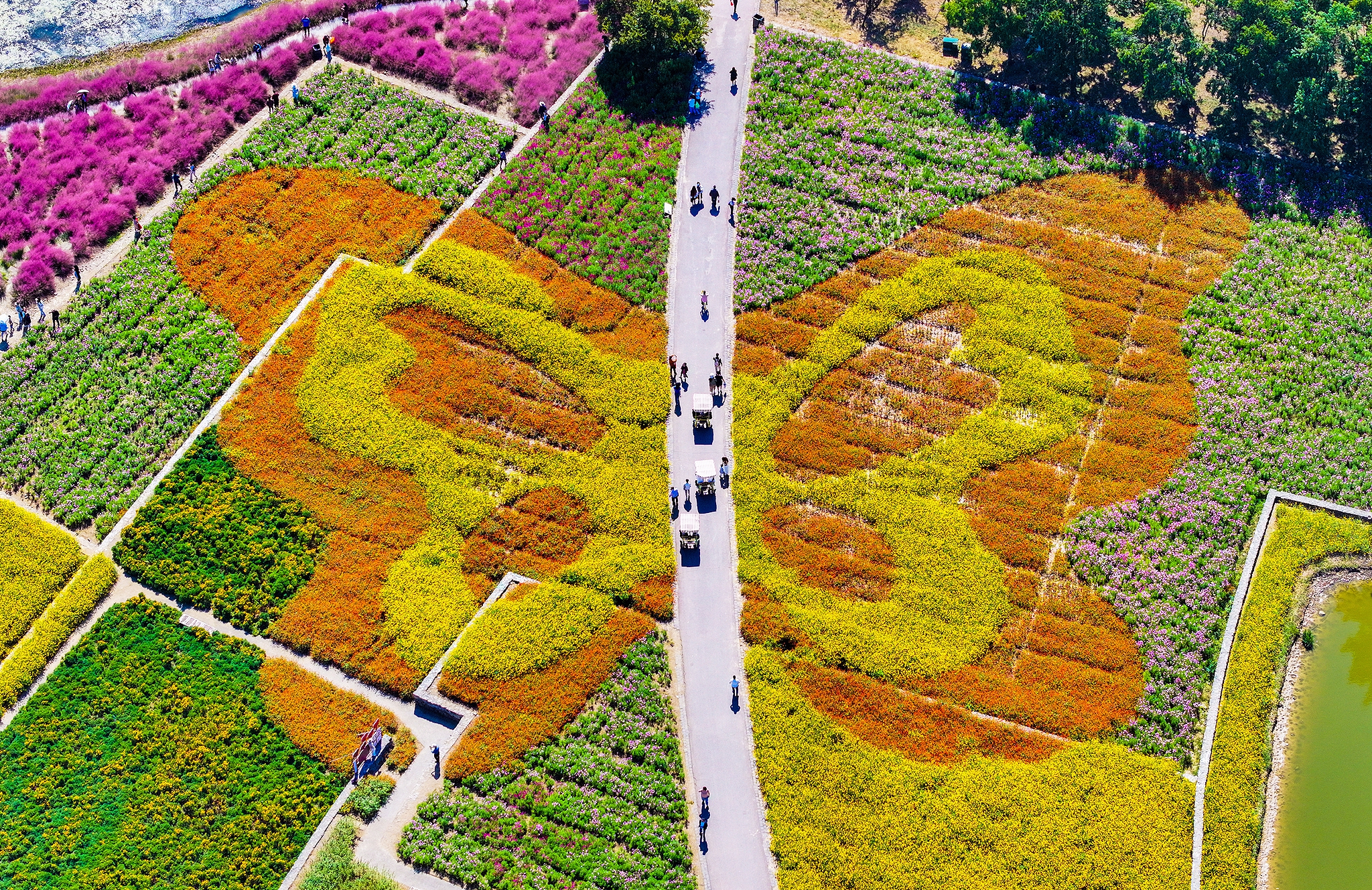 Tourists walk in a fairyland-like flower sea to enjoy autumn during China's National Day holidays in Suqian, east China's Jiangsu Province on October 4, 2024. /CFP