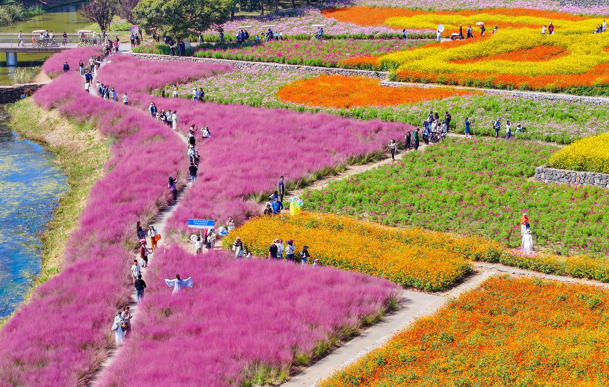 Tourists walk in a fairyland-like flower sea to enjoy autumn during China's National Day holidays in Suqian, east China's Jiangsu Province on October 4, 2024. /CFP