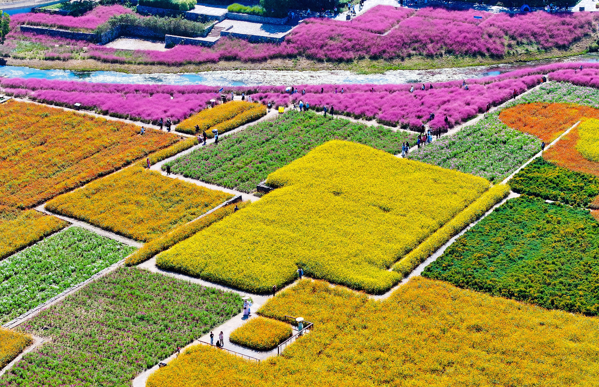 Tourists walk in a fairyland-like flower sea to enjoy autumn during China's National Day holidays in Suqian, east China's Jiangsu Province on October 4, 2024. /CFP