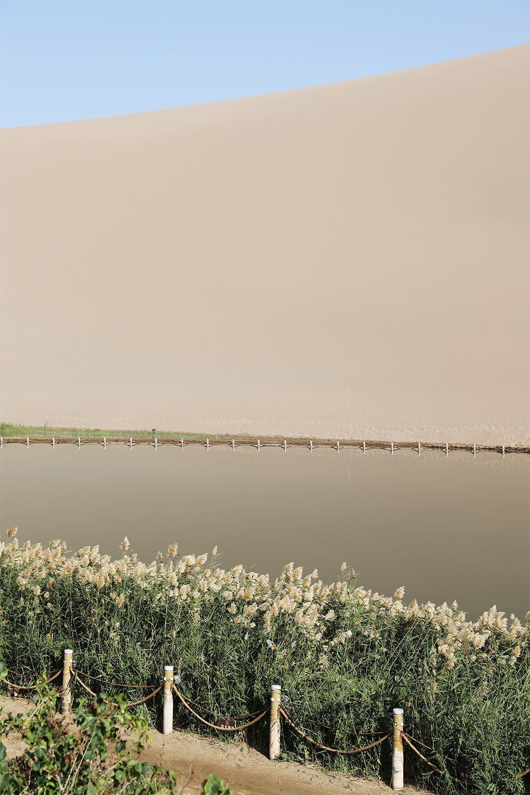 A view of Crescent Spring set against the backdrop of a huge sand dune in Dunhuang, Gansu Province. /CGTN