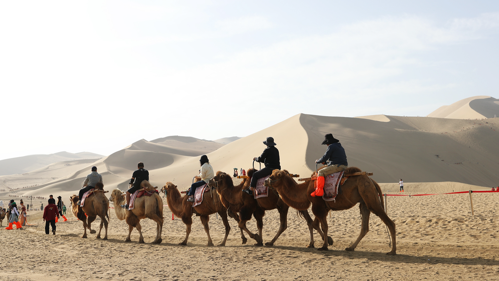 Visitors ride camels at Mingsha Mountain in Dunhuang, Gansu Province. /CGTN