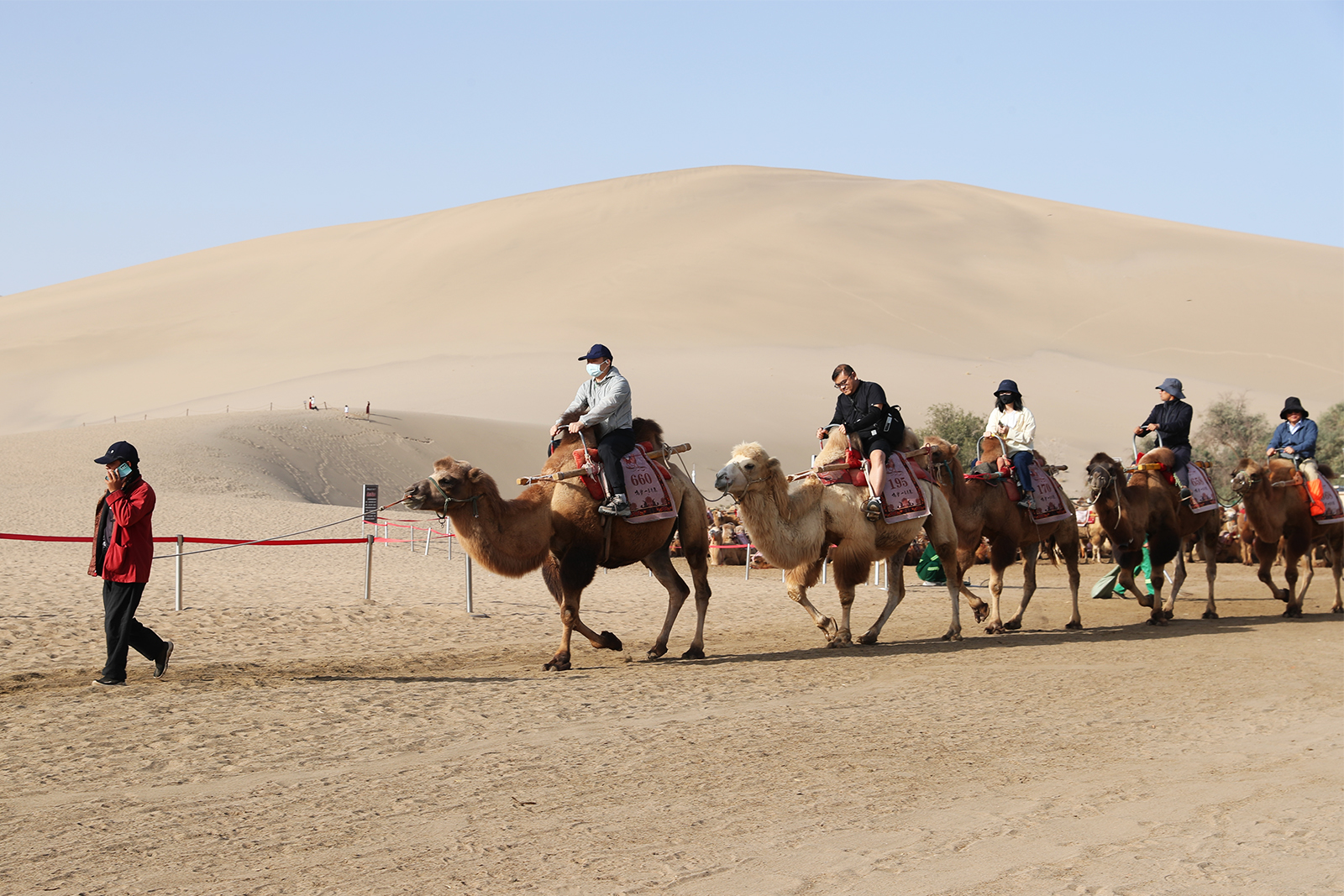 Visitors ride camels at Mingsha Mountain in Dunhuang, Gansu Province. /CGTN