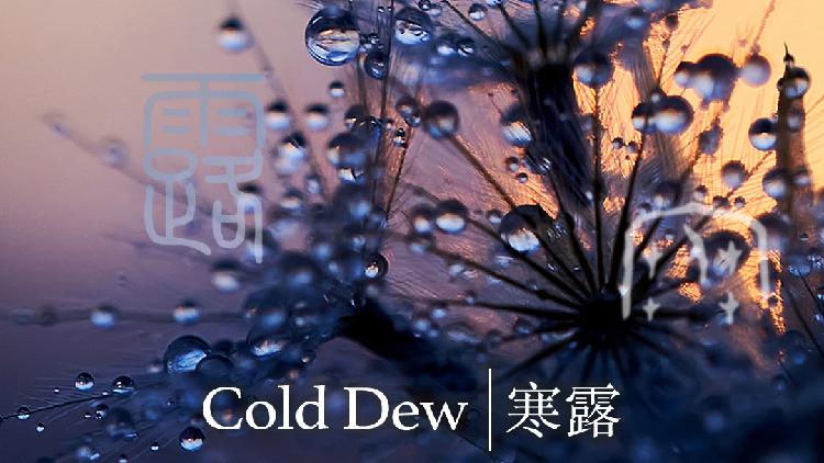 'Cold Dew' solar term begins in China - CGTN