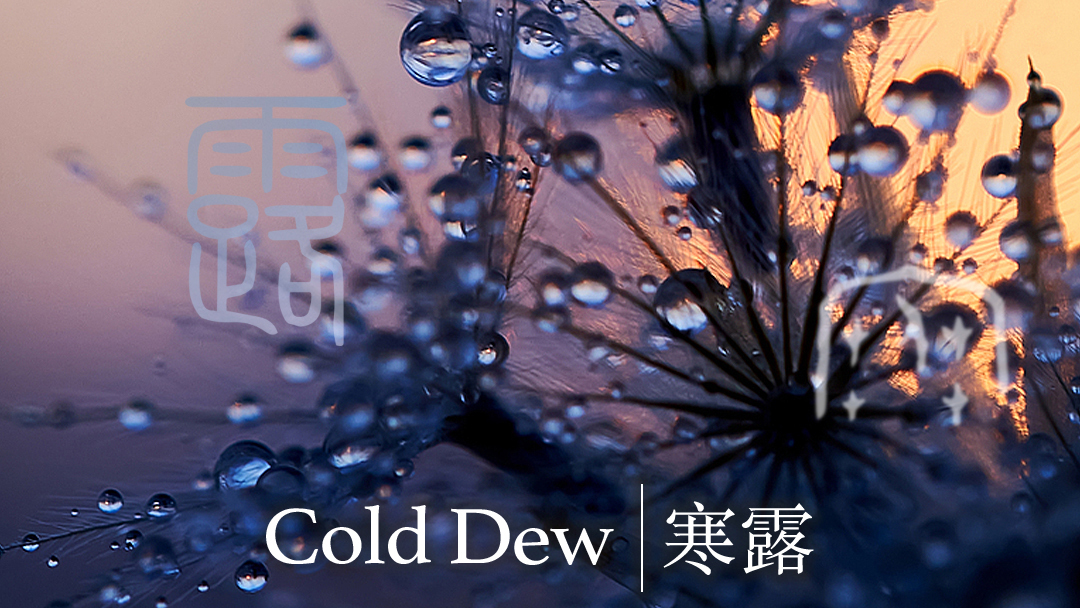 'Cold Dew' solar term begins in China