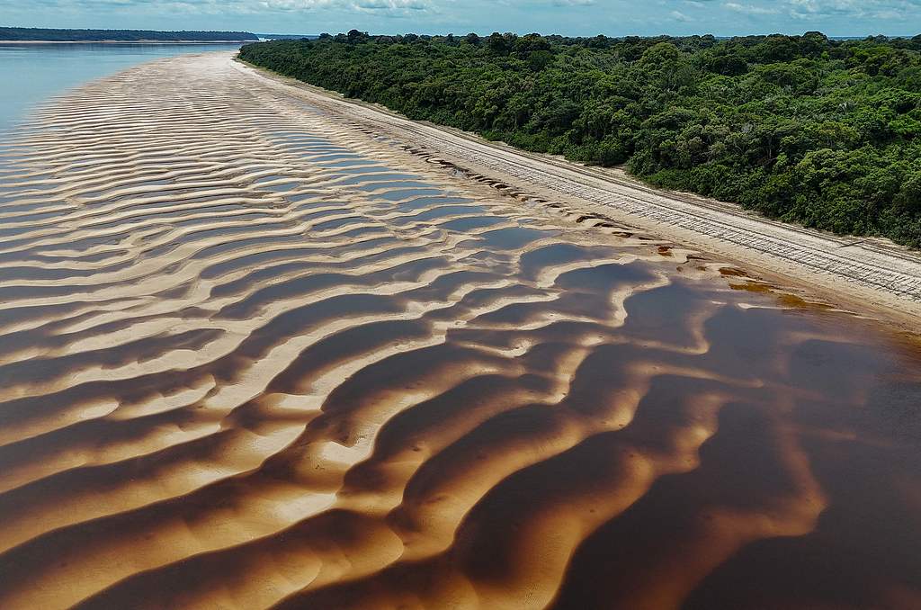 Aerial view of a sandbank on the bed of the Negro River, in the Anavilhanas Archipelago, Novo Airao, Amazonas state, northern Brazil, October 1, 2024. /CFP