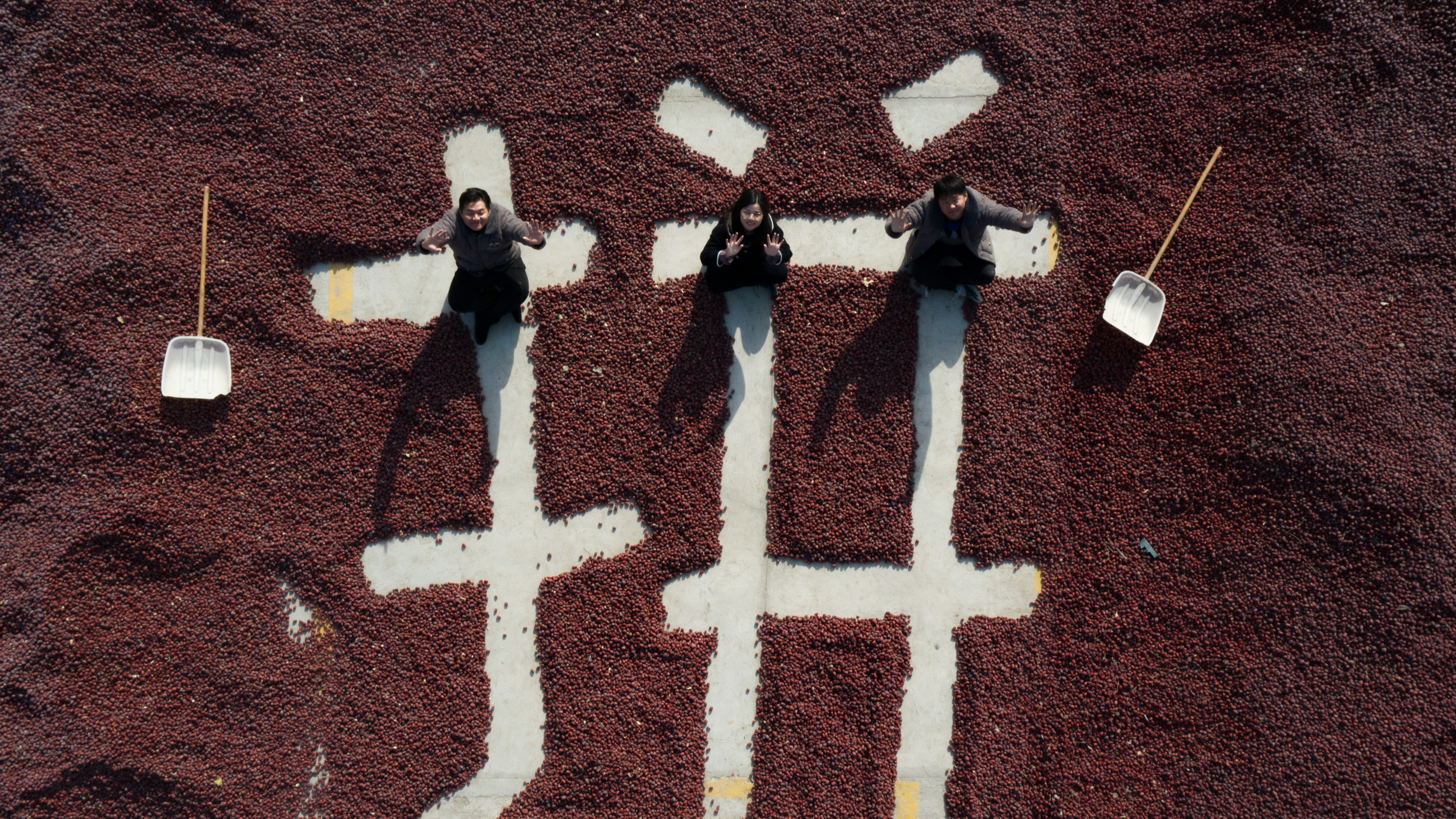 Zhao and her two younger brothers renovate their father's former factory into a processing plant. /Photo provided by Zhao Yan 