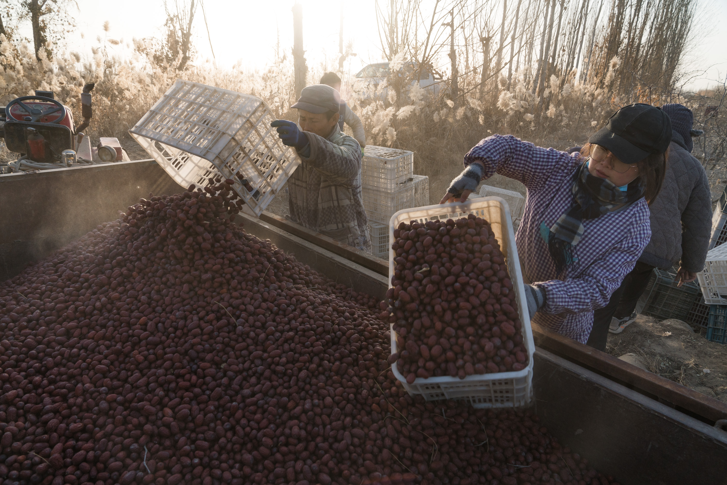 Witnessing the remarkable changes and development in her hometown, Zhao Yan decided to go back home and launch business to sell quality dates. /Photo provided by Zhao Yan 