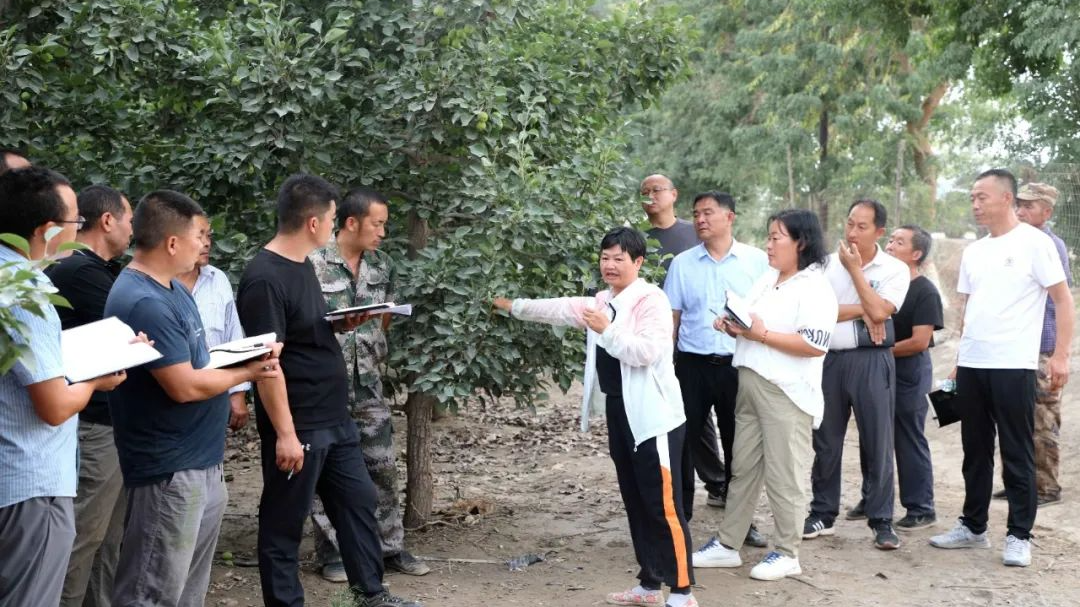 Xie Xiaoyun (center) explains planting techniques. /Photo provided by A'lar 