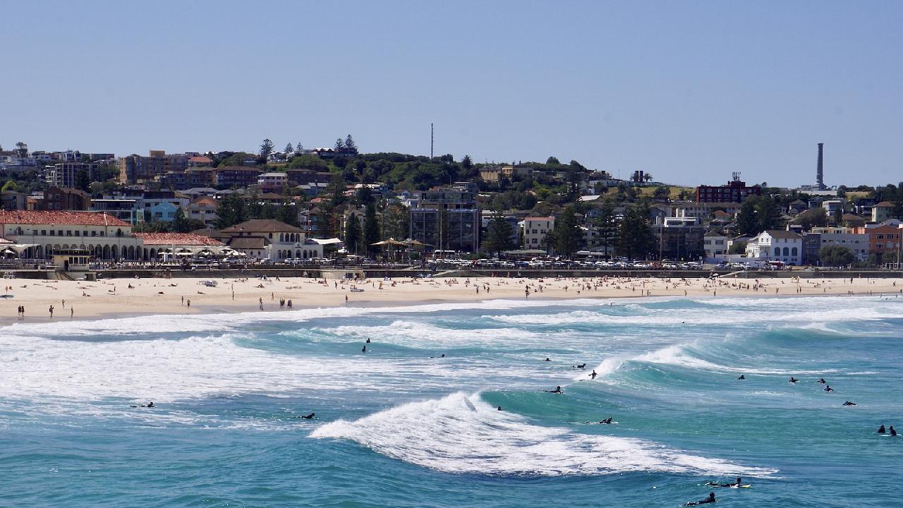 Global Premiere of Nature Positive Summit Held in Sydney