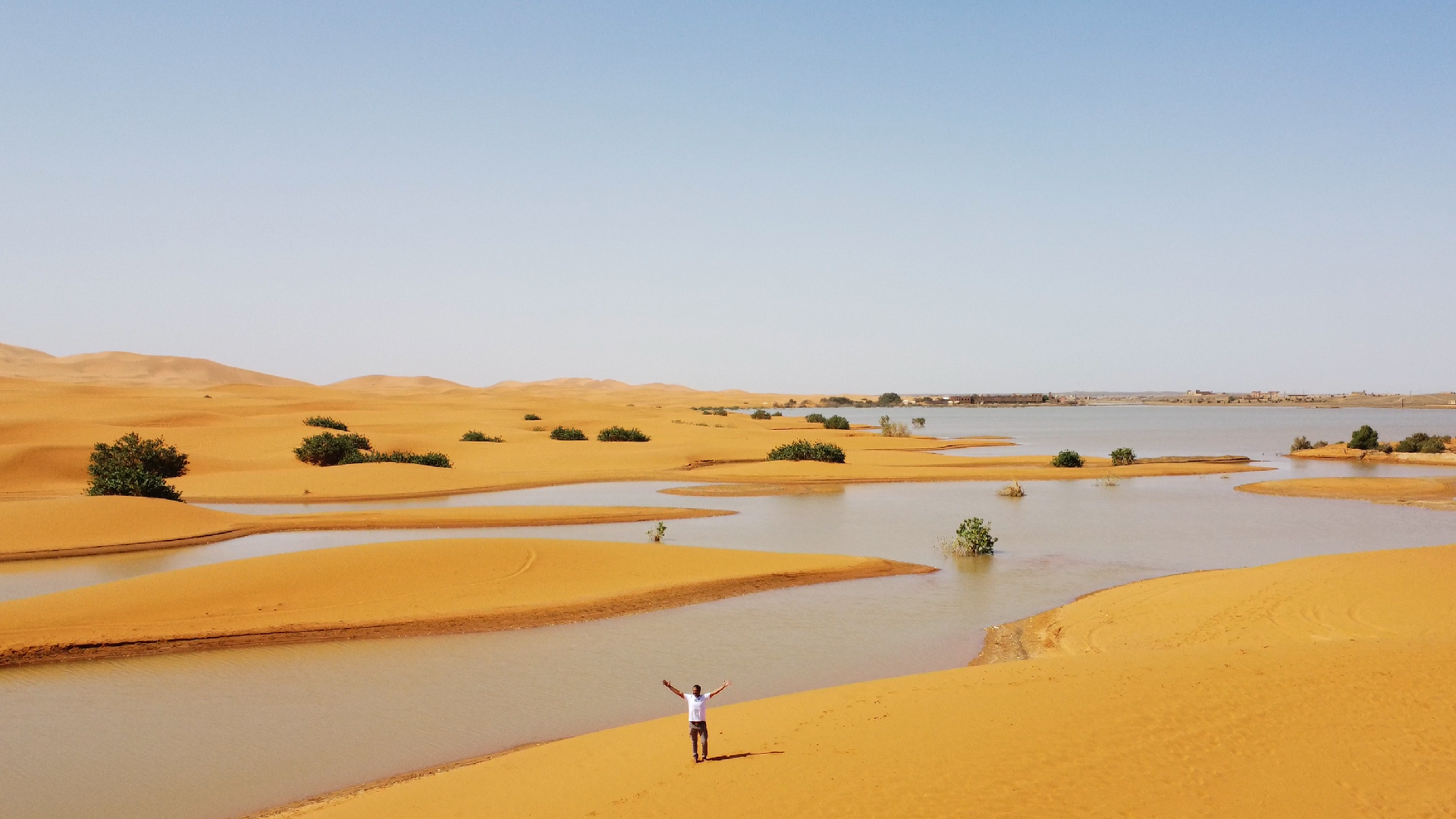 Unexpected Rainfall Leads to Sudden Water Gush Through the Arid Sahara Desert