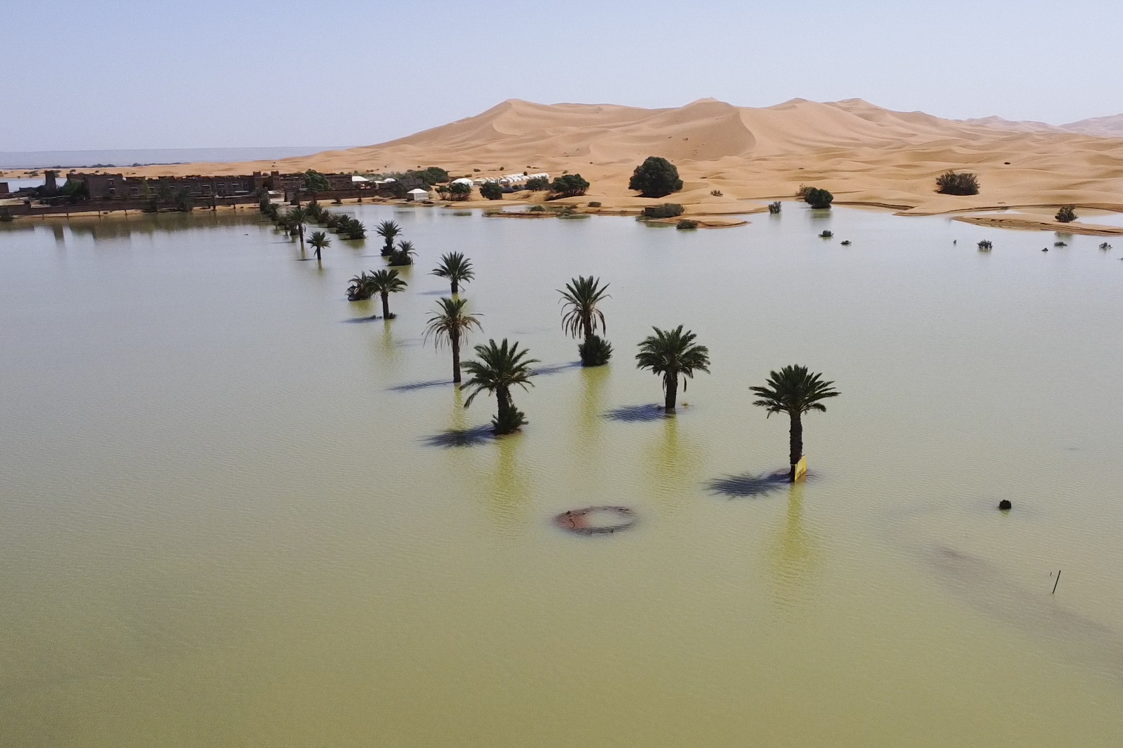 Palm trees are flooded in a lake caused by heavy rainfall in the desert town of Merzouga, near Rachidia, southeastern Morocco, October 2, 2024. /AP