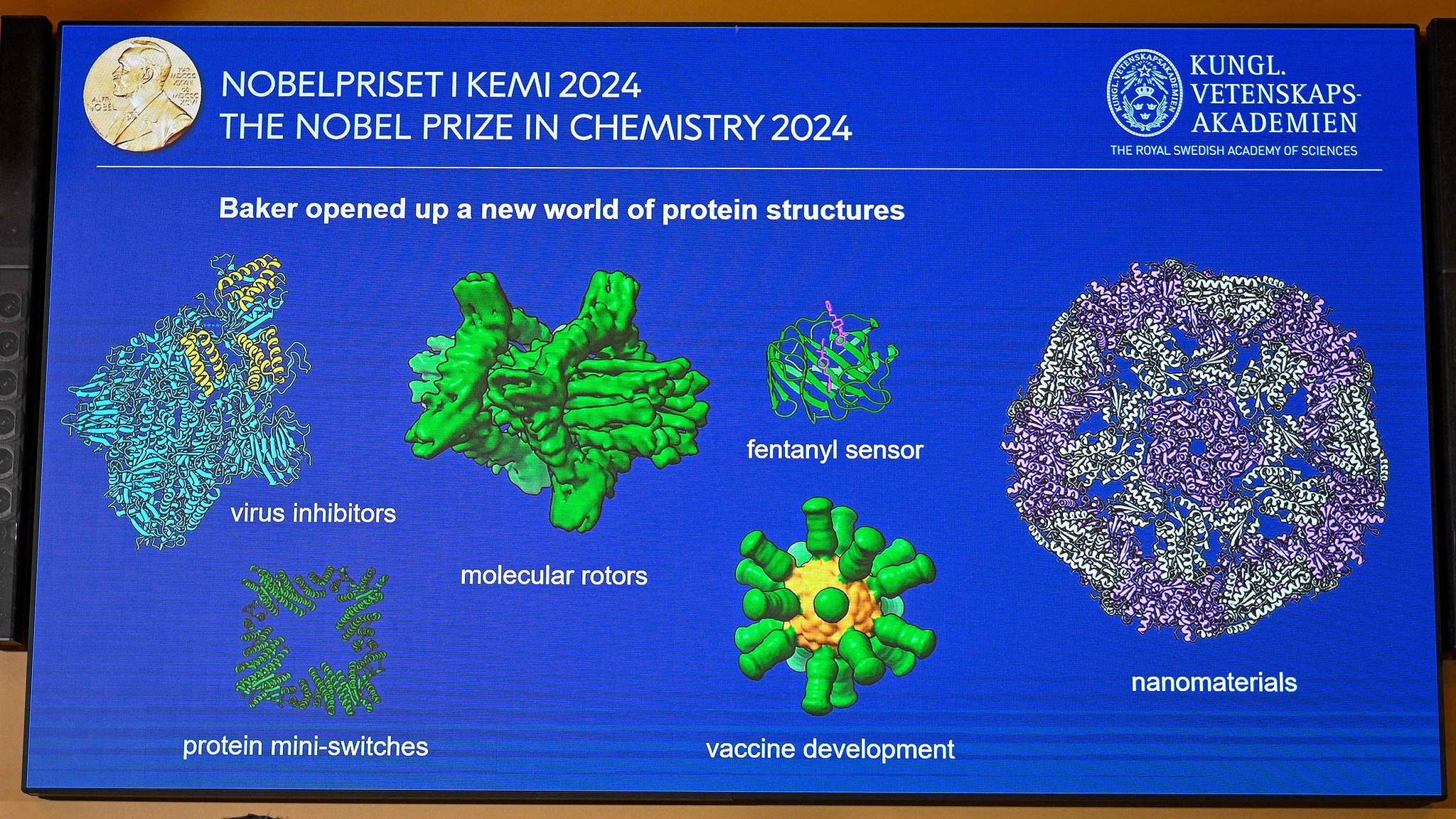 A screen displays details from the work of the winners of the 2024 Nobel Prize in Chemistry during the announcement by the Royal Swedish Academy of Sciences in Stockholm, Sweden on October 9, 2024. /CFP