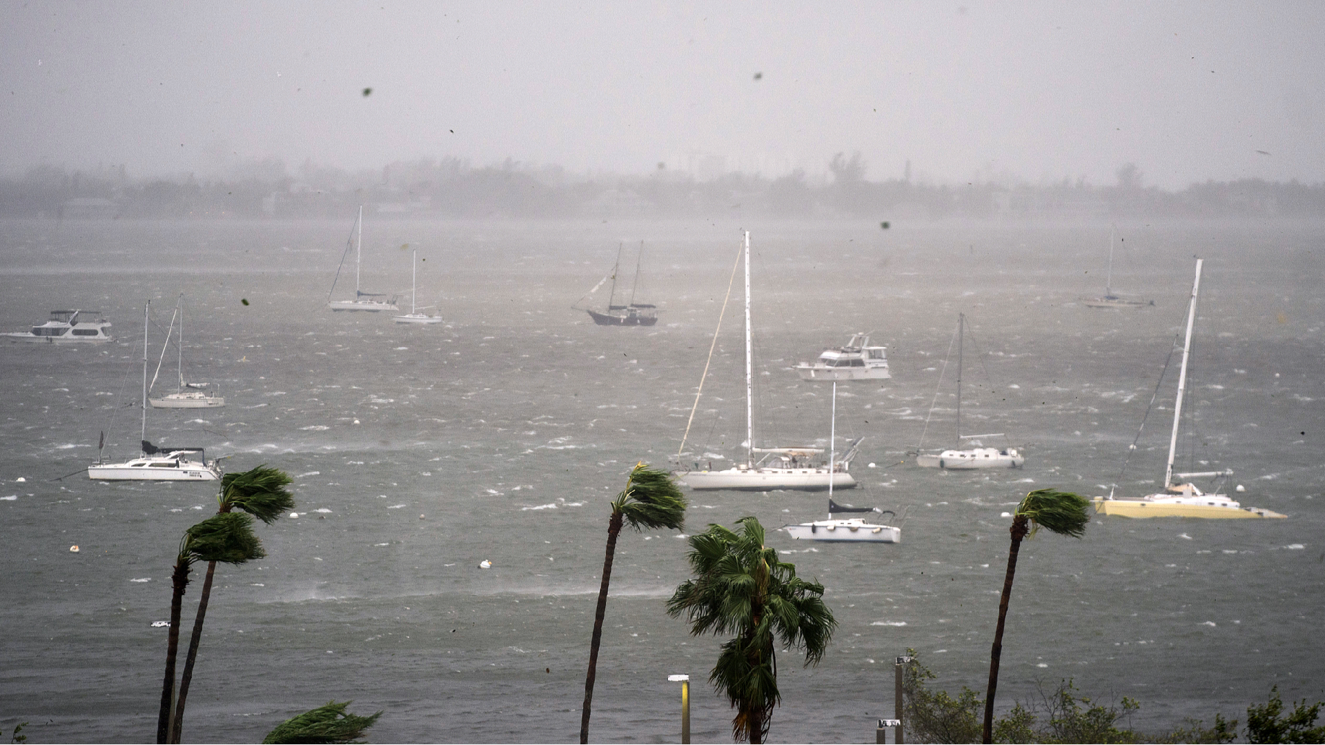 Hurricane Milton Hits Florida's Coastline