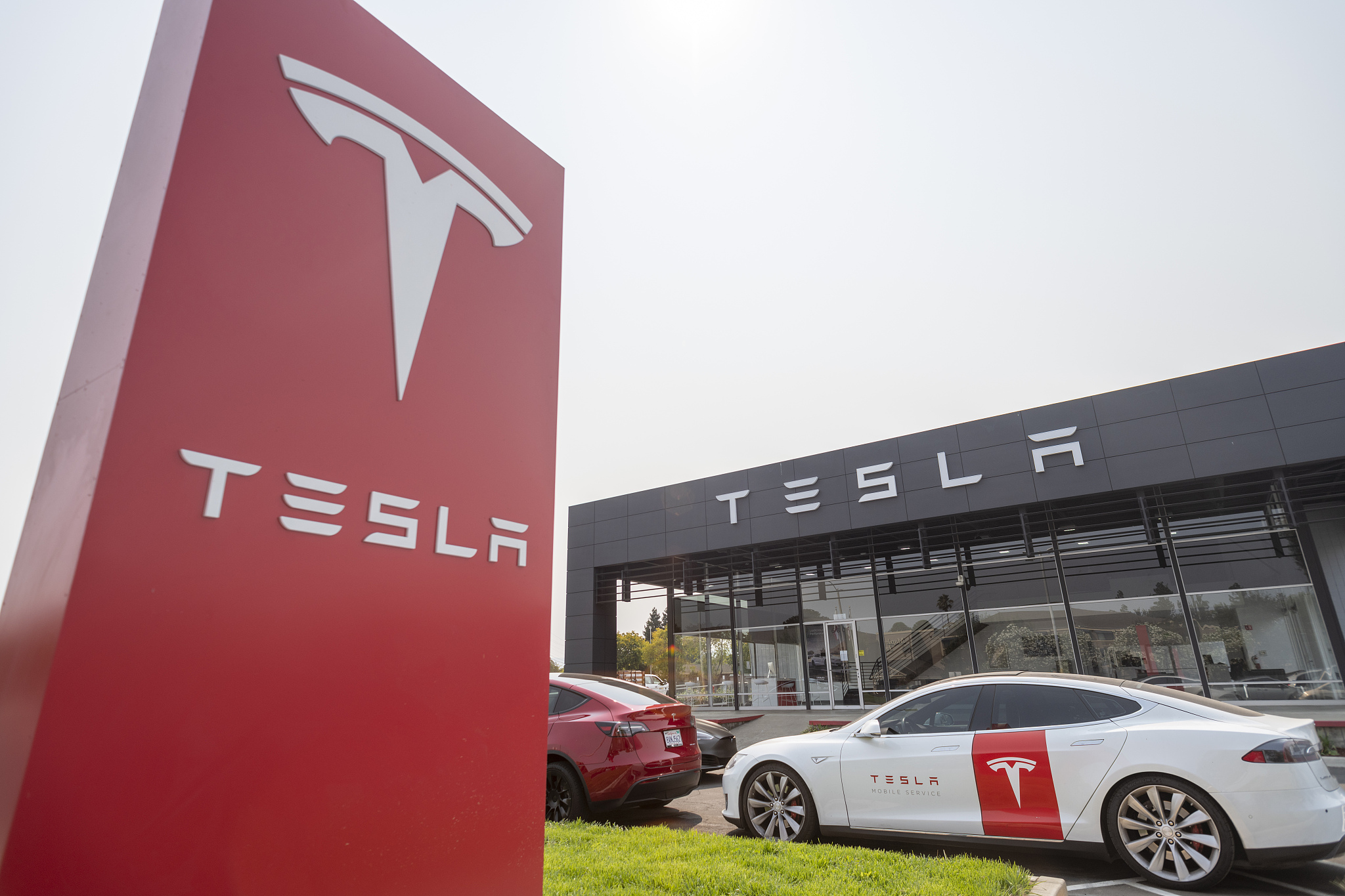 A Tesla sign is seen at a store in Sunnyvale, California in the United States. /CFP