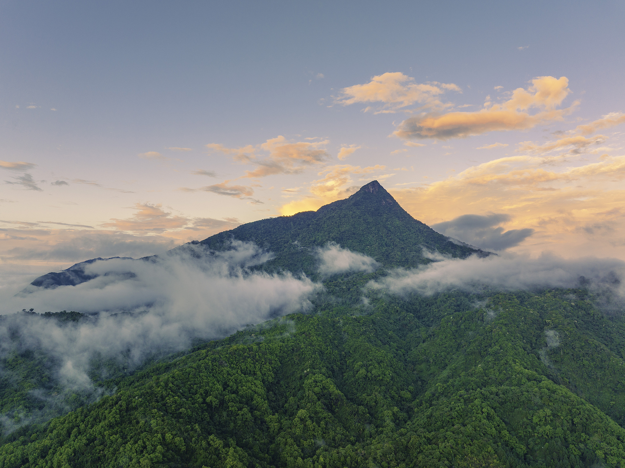 A view of the Hainan Tropical Rainforest National Park at dusk on March 23, 2022 /CFP