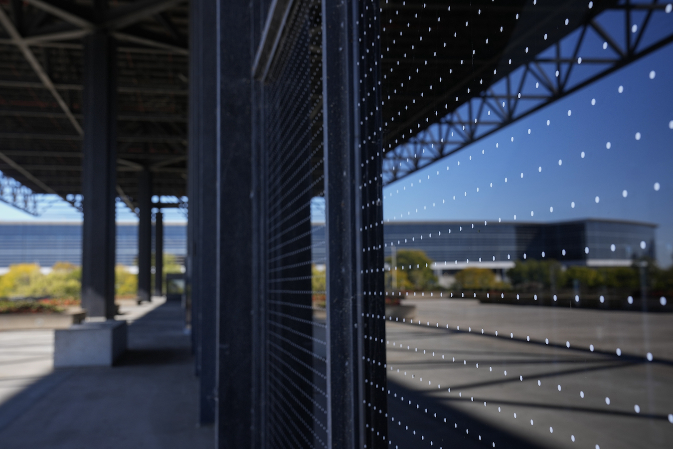 The recently-installed bird-safe window film on the McCormick Lakeside Center building in Chicago, Illinois, October 7, 2024. /CFP