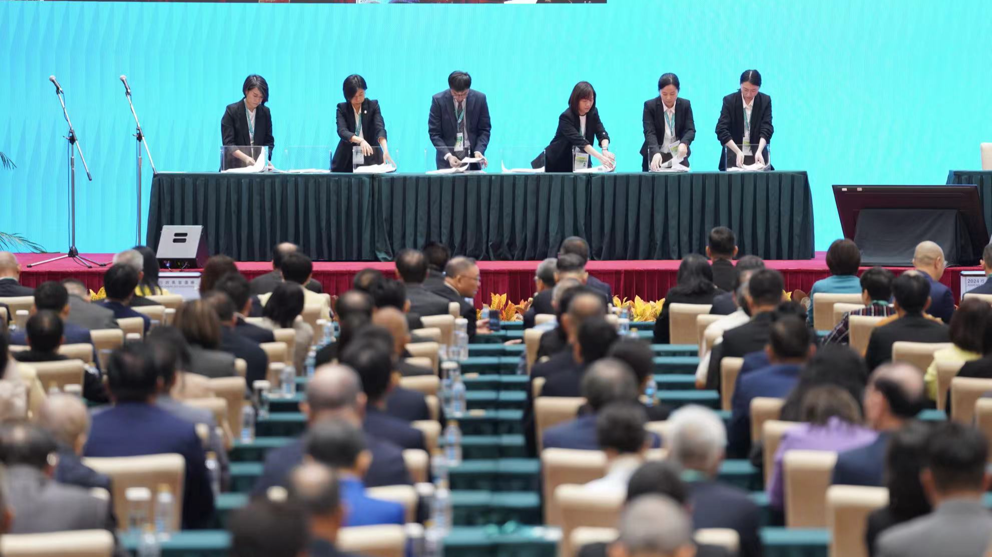 Election officials count ballots during the sixth-term chief executive election of China's Macao Special Administrative Region, October 13, 2024. /CMG