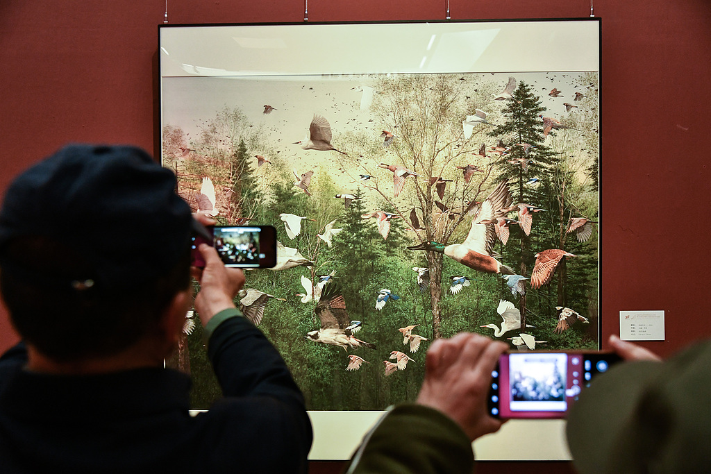 A photo taken on October 13, 2024 shows visitors taking photos of an artwork on display at the National Art Museum of China in Beijing. /CFP