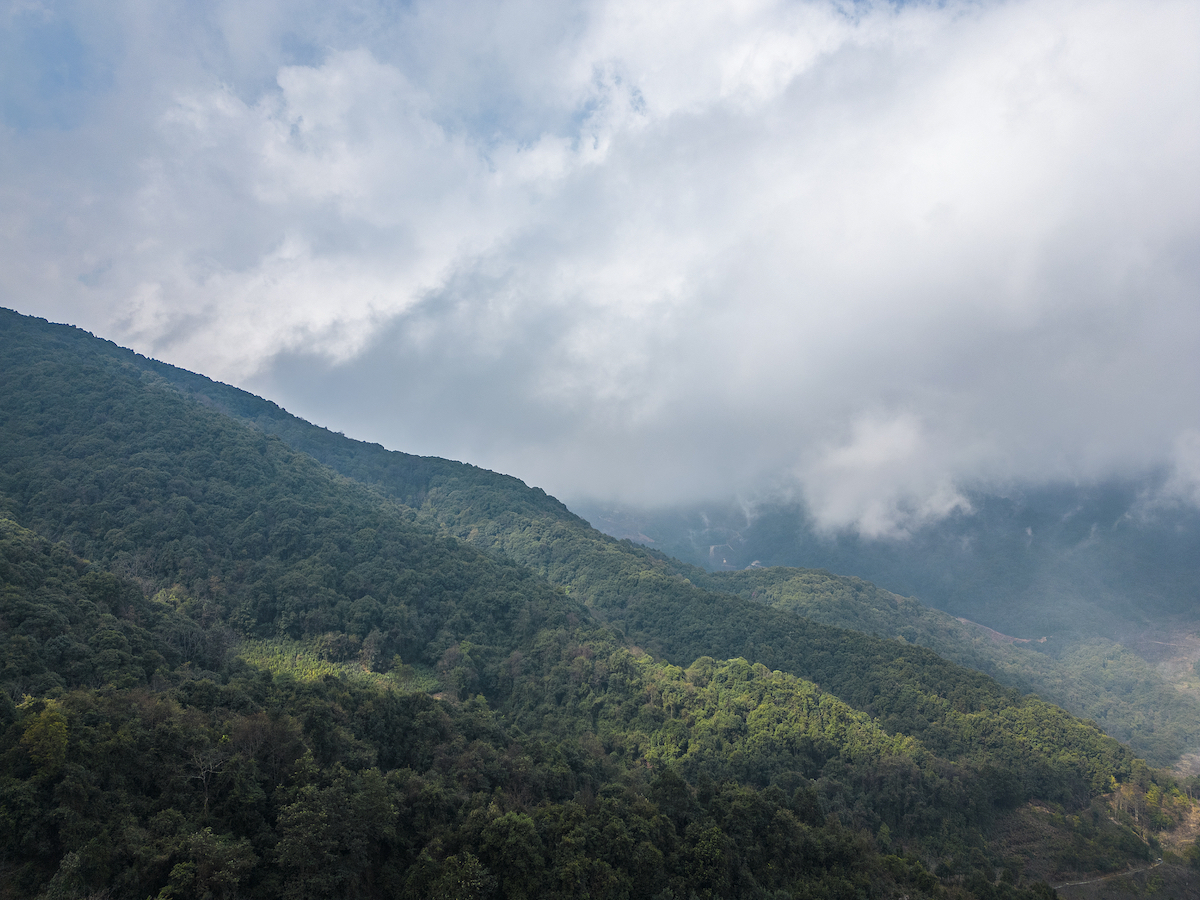 A view of the Ailao Mountains in Yuxi City, Yunnan Province, southwest China, February 19, 2023. /CFP