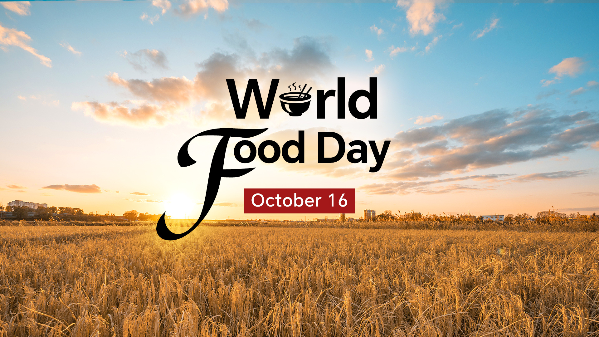 World Food Day: Turning salt-rich soils into fertile soils in China