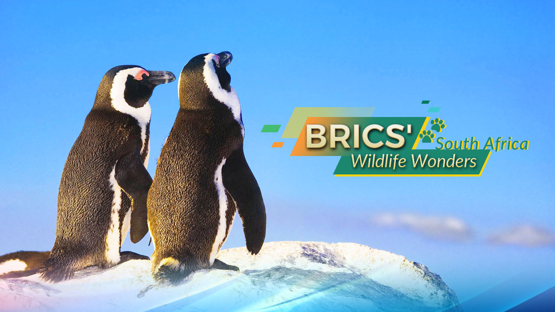 BRICS' Wildlife Wonders: Republic of South Africa