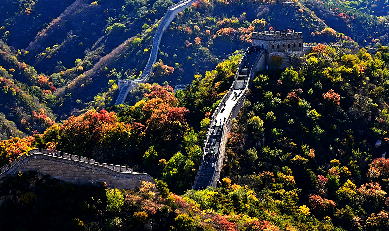 The Great Wall at Badaling is covered with colorful autumn trees in Beijing, October 19, 2024. /CFP