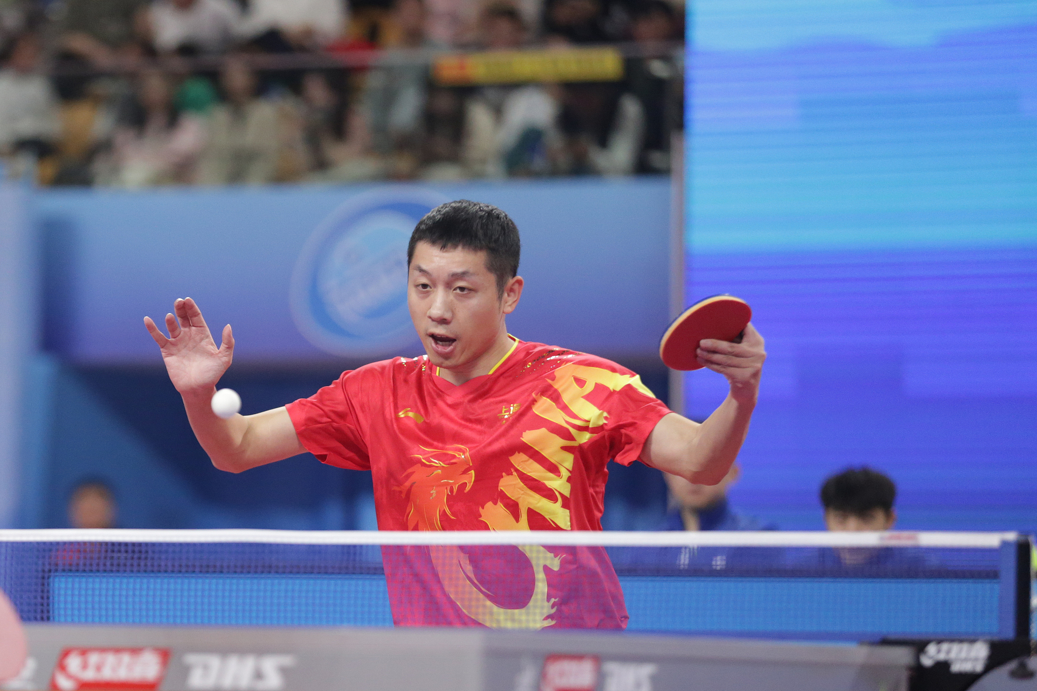 Xu Xin of Shanghai Municipality hits a shot in the men's team final against Heilongjiang Province at the All China Table Tennis Championships in Ordos, north China's Inner Mongolia Autonomous Region, October 19, 2024. /CFP