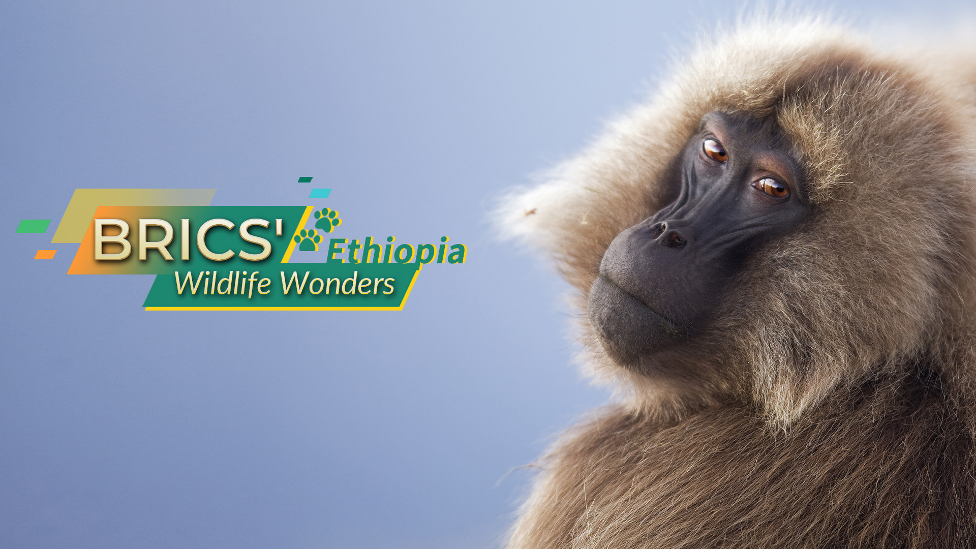 BRICS' Wildlife Wonders: Ethiopia