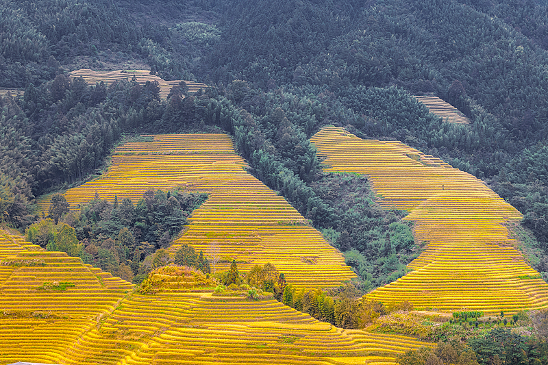 A glimpse of the Longji Rice Terraces in Guilin City, Guangxi Zhuang Autonomous Region, October 19, 2024. /CFP