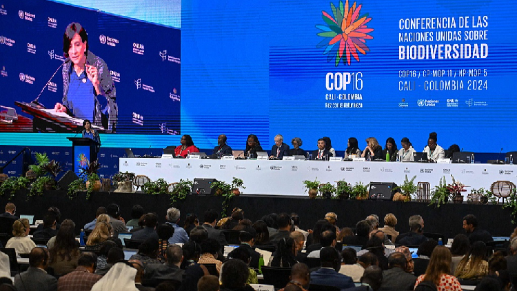 At the opening of COP16, leaders call on the global community to fund conservation efforts to protect the environment