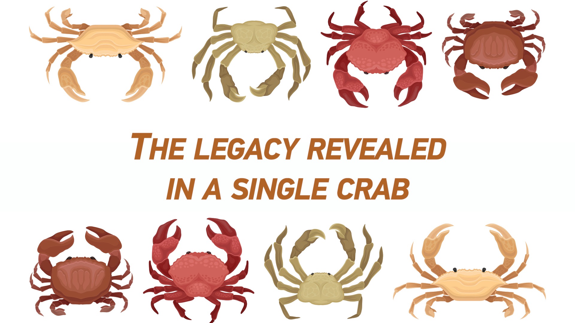 Culture Atlas: The legacy revealed in a single crab