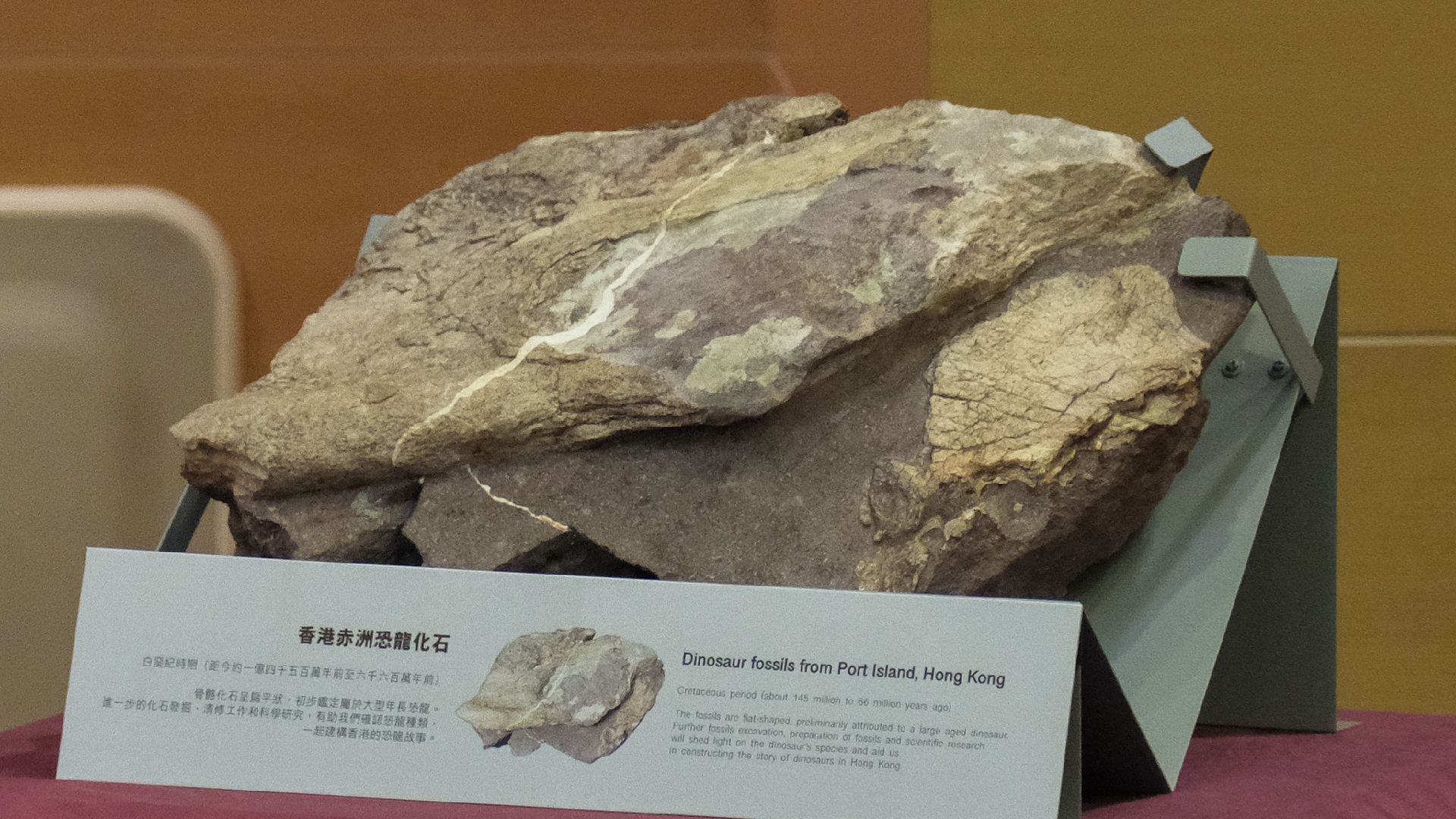 For the first time, million-year-old dinosaur fossils discovered in Hong Kong