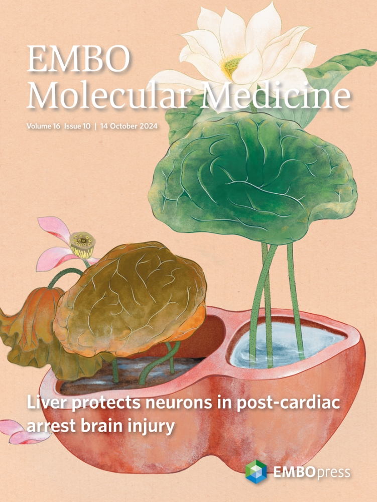 The cover of EMBO Molecular Medicine, volume 16 Issue 10. /Scientific Image by the Authors